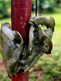 /album/fotogaleria-panama-zajazd-vy-a-my/zajazd-panama-64-jpg/